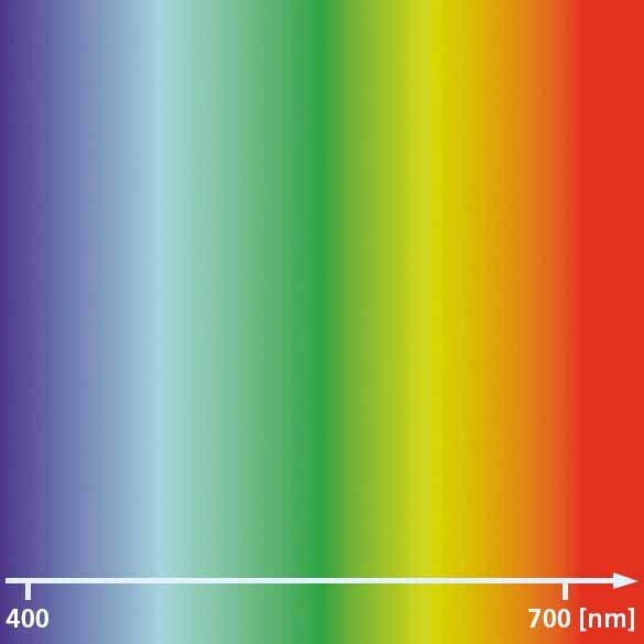 Spectrum_585x585_RGB.jpg