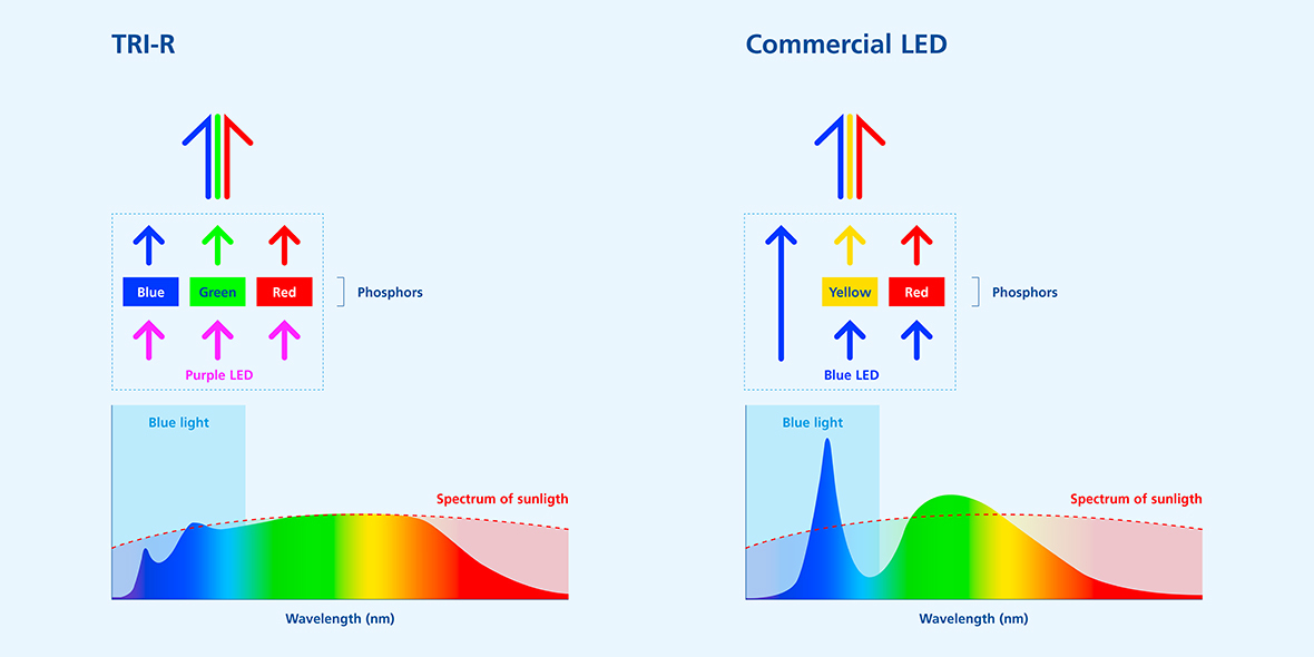 Fluoreszenz_EN_Full Spectrum LED.jpg